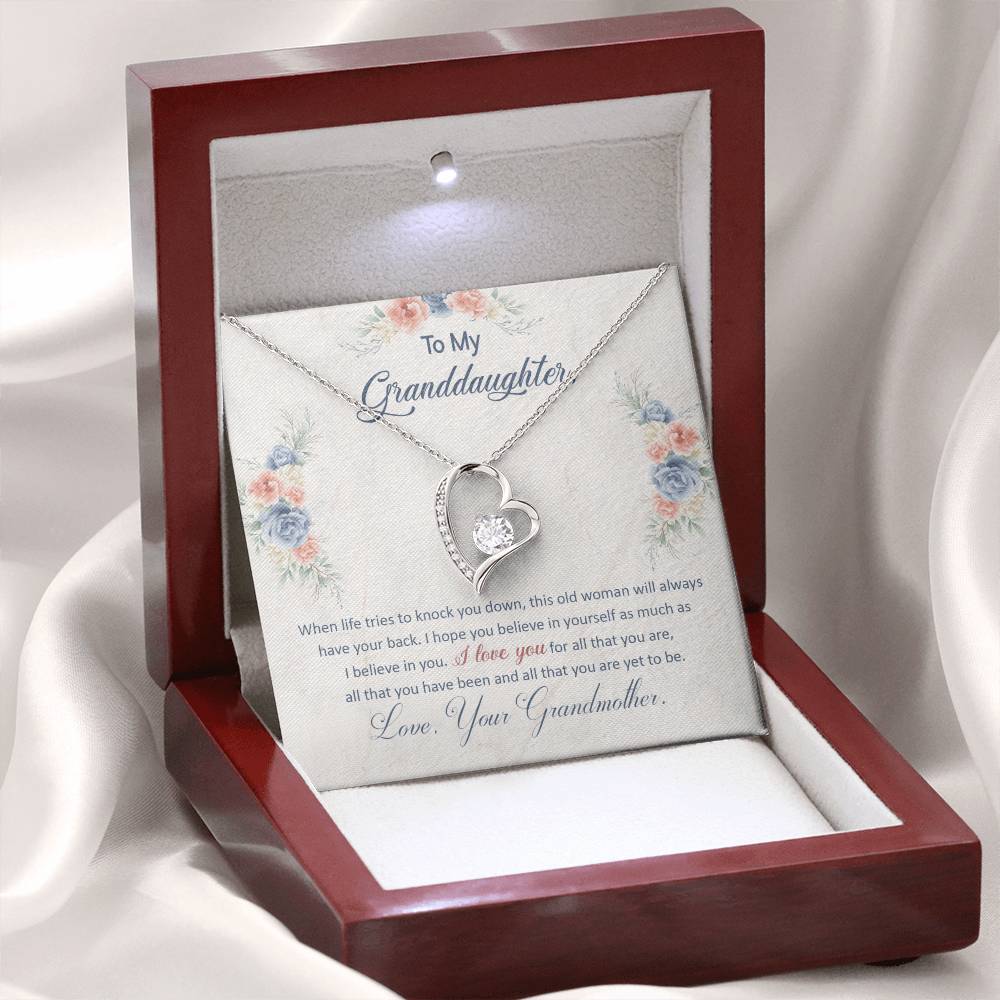 To My Granddaughter "This Old Woman Will Always Have Your Back" Heart Necklace