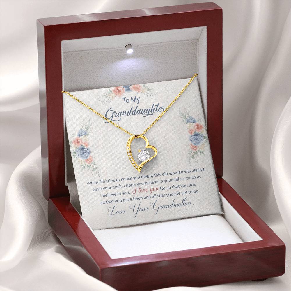 To My Granddaughter "This Old Woman Will Always Have Your Back" Heart Necklace