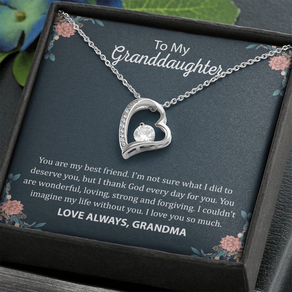 To My Granddaughter "You Are My Best Friend" Heart Necklace