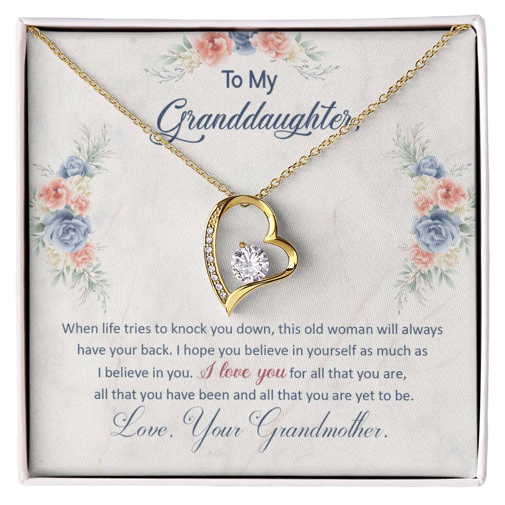 To My Granddaughter "This Old Woman Will Always Have Your Back" Heart Necklace