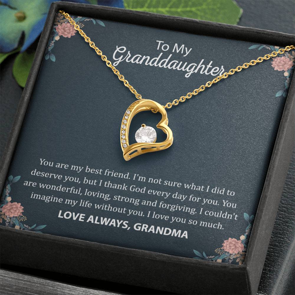To My Granddaughter "You Are My Best Friend" Heart Necklace
