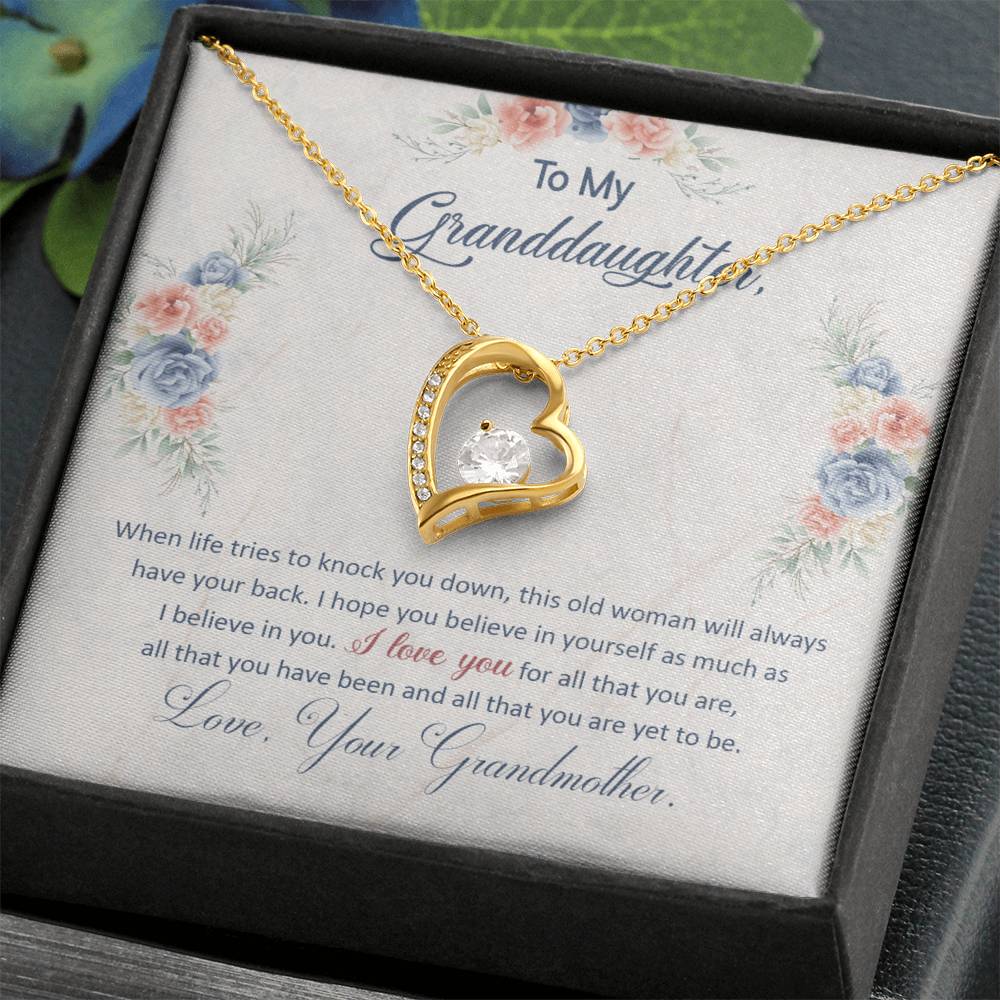 To My Granddaughter "This Old Woman Will Always Have Your Back" Heart Necklace