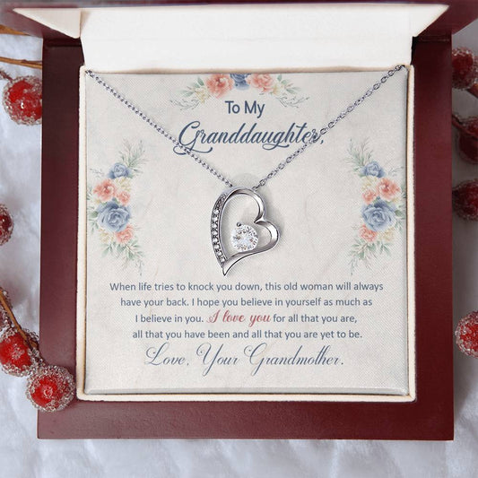 To My Granddaughter "This Old Woman Will Always Have Your Back" Heart Necklace